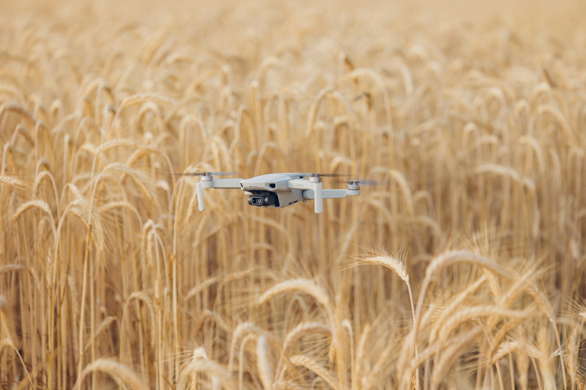 Drone flying over a wheat field: precision agriculture and digital marketing for primary sector brands