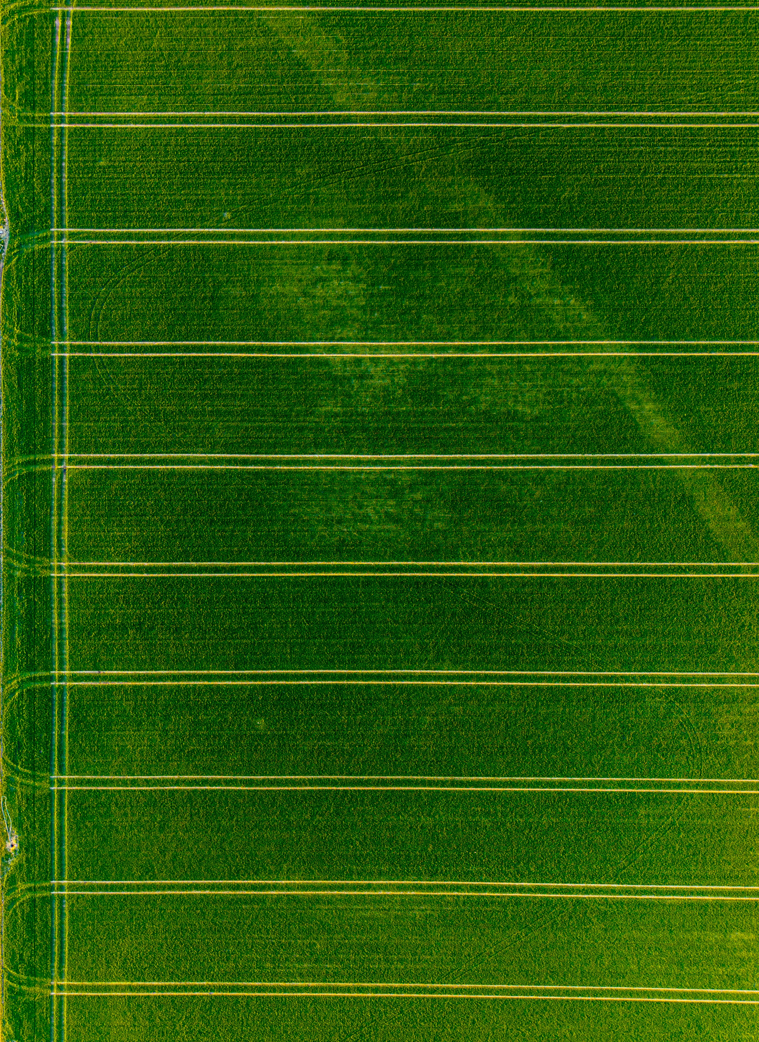 Aerial crop rows: SEO, GEO and AEO visibility for NZ agribusiness brands